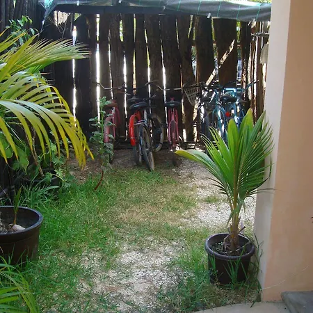 Hotel Andrea's 3*
