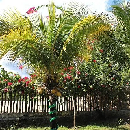 Mexico Y Nubes Apartment Tulum