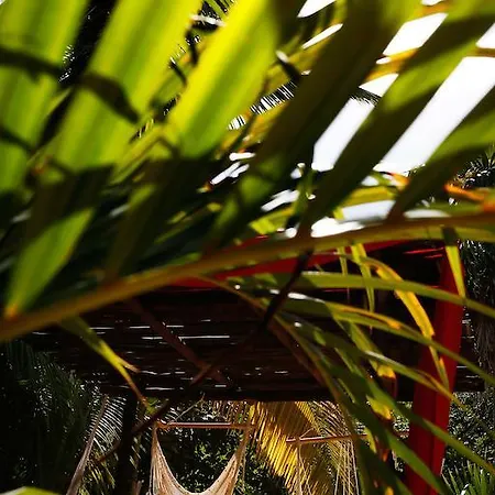 Casa Selva De Luz Tulum