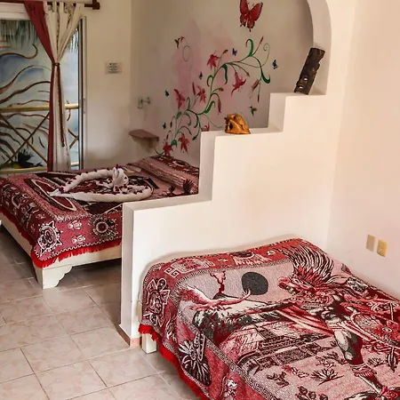 Residencia La Mariposa 3*