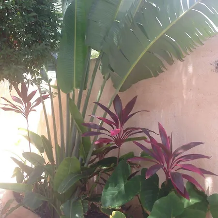 Villas Colibri