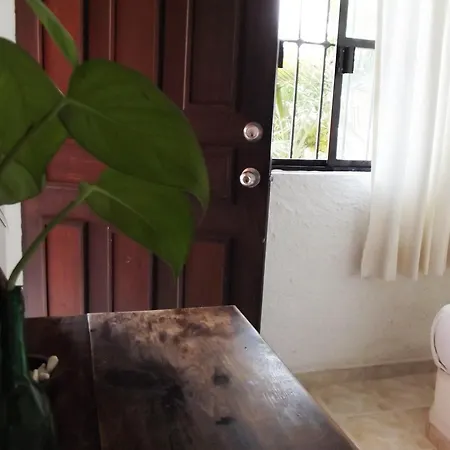 Matisse Tulum