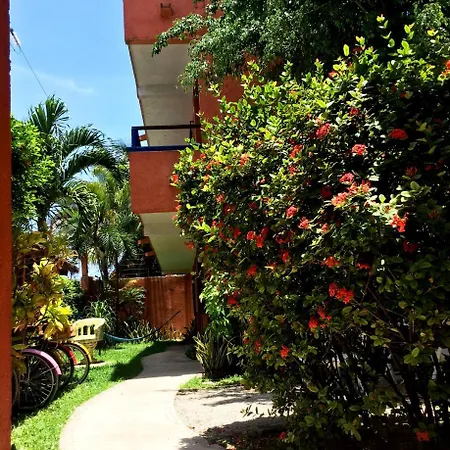 Matisse 2* Tulum