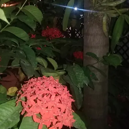 Hostal Rancho Tranquilo *