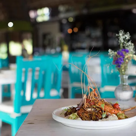Hotel El Pez A Colibri Boutique Tulum