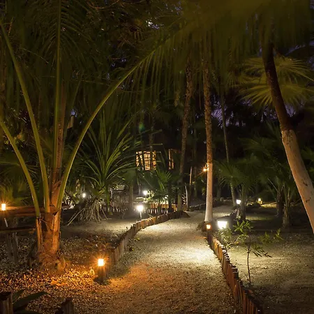 Maya Y Cenote 2*