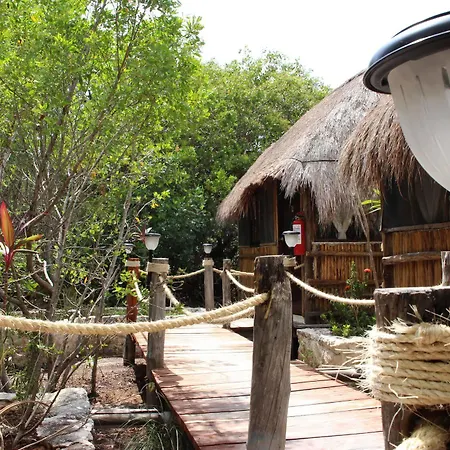 Maya Y Cenote