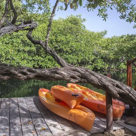 Maya Y Cenote Hotel