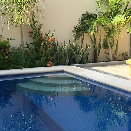 Basic Hotel 3*
