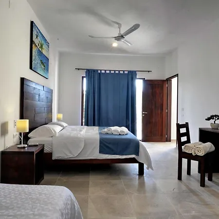 Basic Hotel Tulum