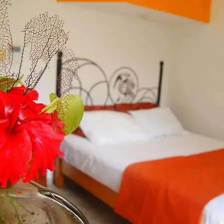 Hotel Maya Pax 3*