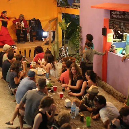 Weary Traveler Hostel Tulum
