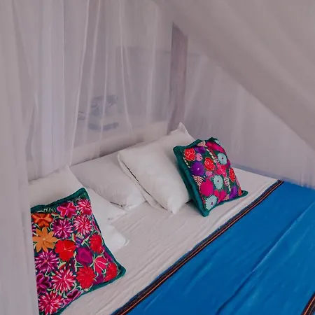 Lamar Front And Pool 3*