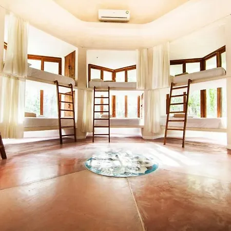 The Beehive Experience At Holistika Hostel Tulum