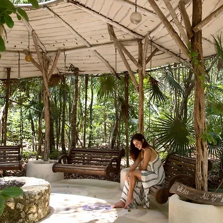 The Beehive Experience At Holistika Hostel Tulum