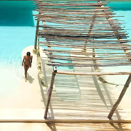 The Beehive Experience At Holistika * Tulum