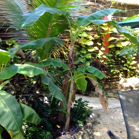 Casa Guanabana *