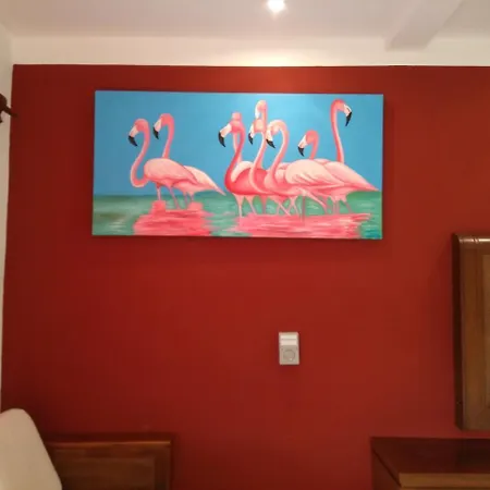Sun Caribbean Divine Hotel 2*