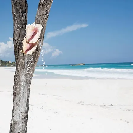 Coco Tulum