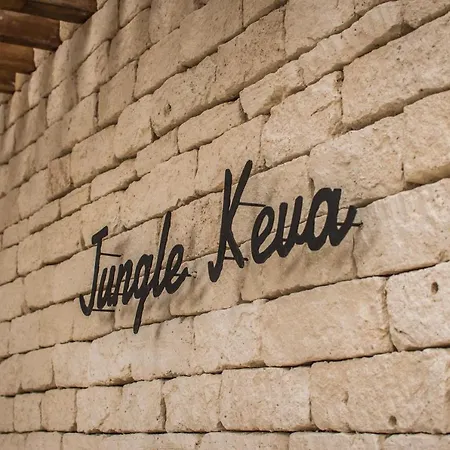Villa Jungle Keva & Venue