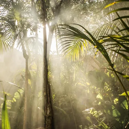 Jungle Keva & Venue Villa Tulum
