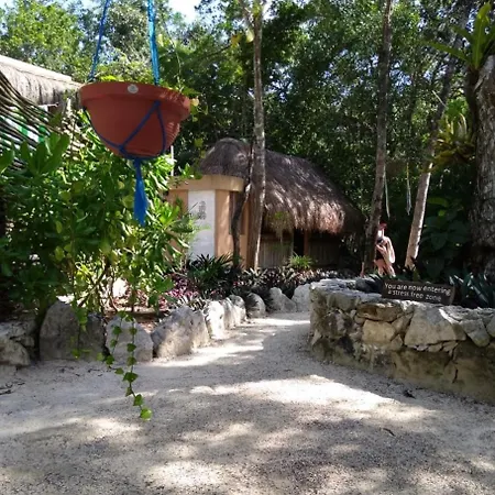 Bed & Breakfast Casa Tzalam Selva 4*