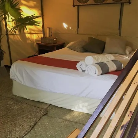 Hotel Uma Oceanfront