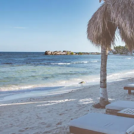 El Pez A Colibri Boutique Hotel Tulum