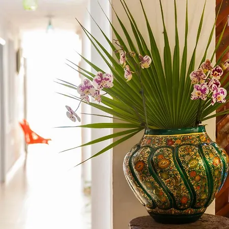 Mestizo Gallery Hotel