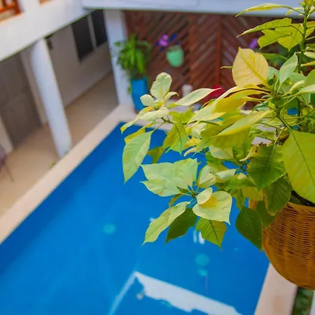 Hotel Mestizo Gallery Tulum