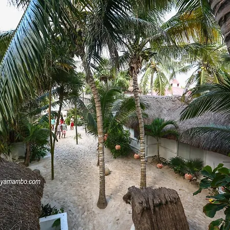 Hotel Playa Mambo Eco Cabanas 4*
