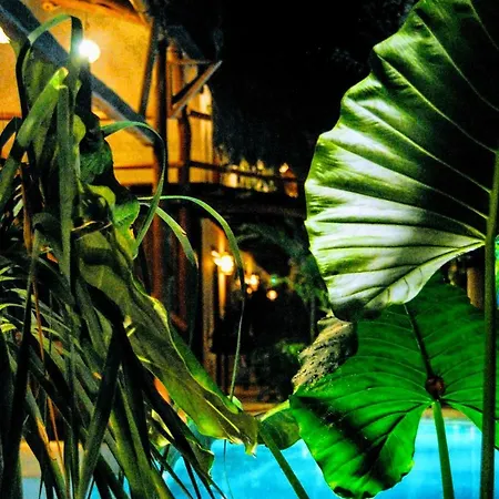 Hotel Boutique Terranova Tulum