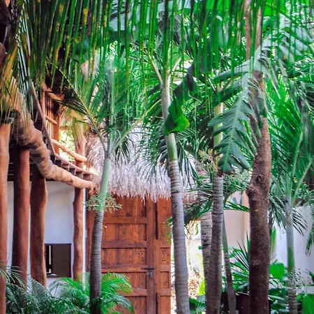 Boutique Terranova Hotel 3*