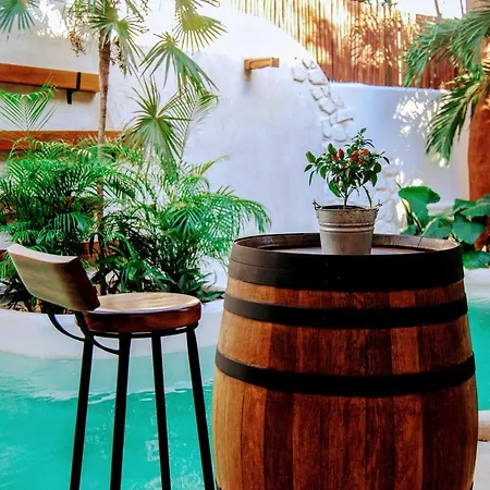 Hotel Boutique Terranova 3*
