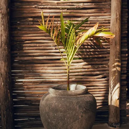 Tribal Hotel