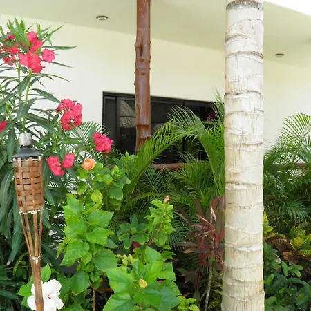 Tua Large Comfortable Pool Parking Space *