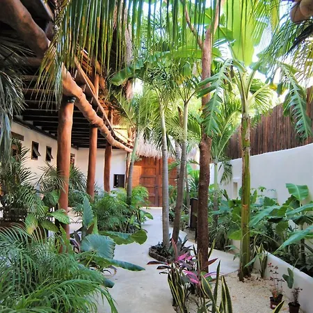 Hotel Boutique Terranova 3*