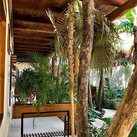 Boutique Terranova Hotel 3*