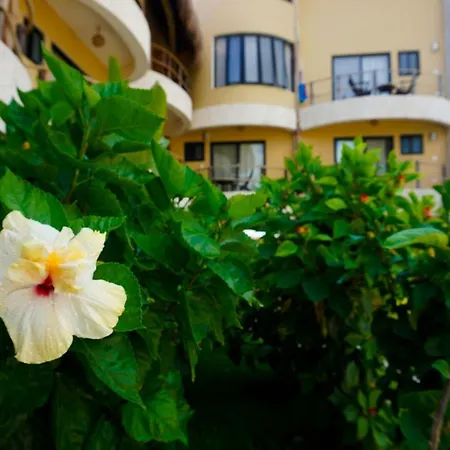 Boutique Jabin 4* Tulum