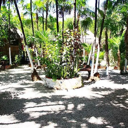 Maya Y Cenote Hotel Tulum