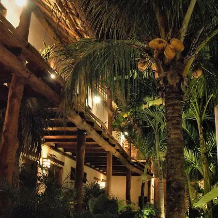 Boutique Terranova Hotel