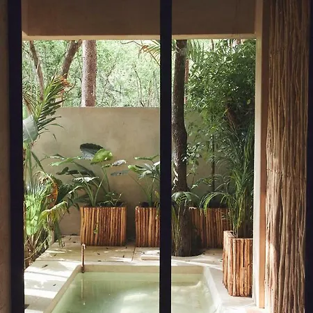 Hotel Orchid House Jungle Tulum