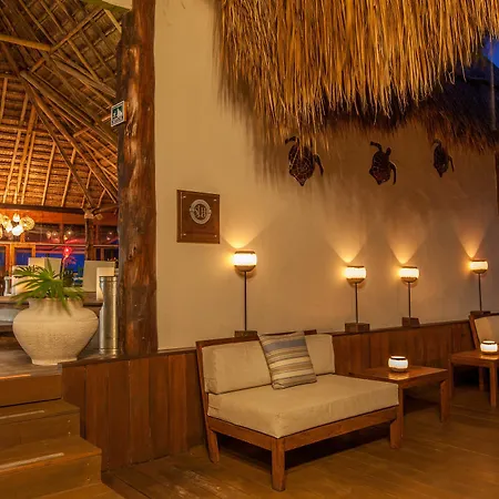El Pez A Colibri Boutique