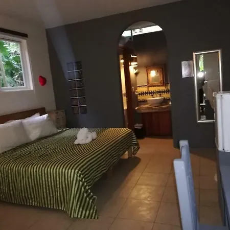 Hotel Nueva Vida De Ramiro 3*