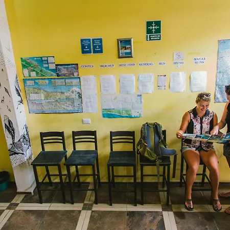 Day Tripper Hostel Tulum