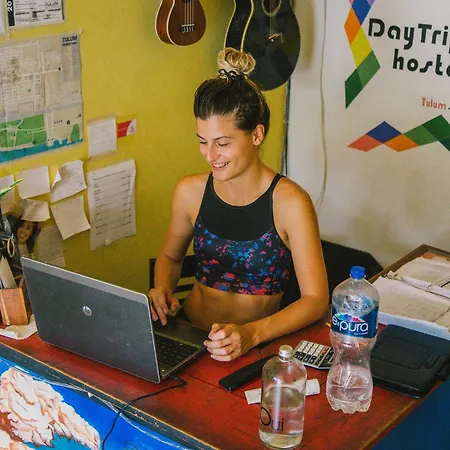 Day Tripper Hostel *