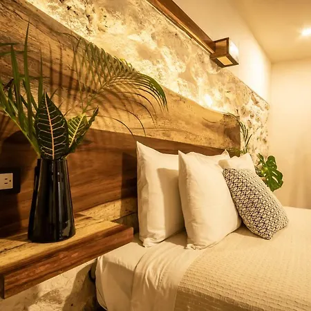 Boutique Terranova Hotel 3*