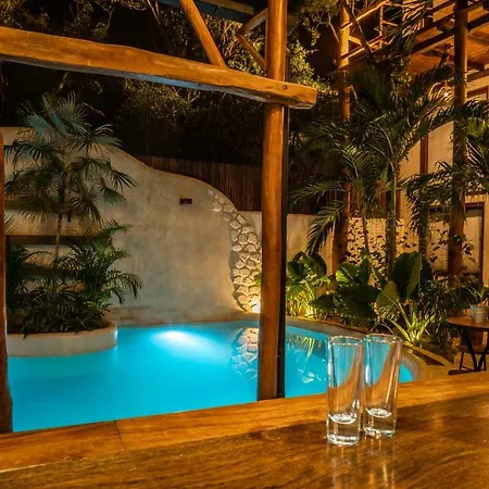Boutique Terranova Hotel 3*