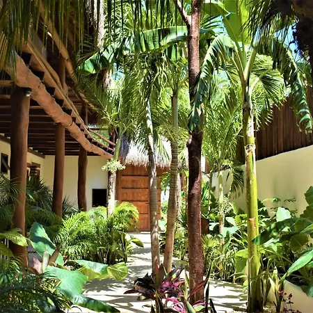 Hotel Boutique Terranova Tulum