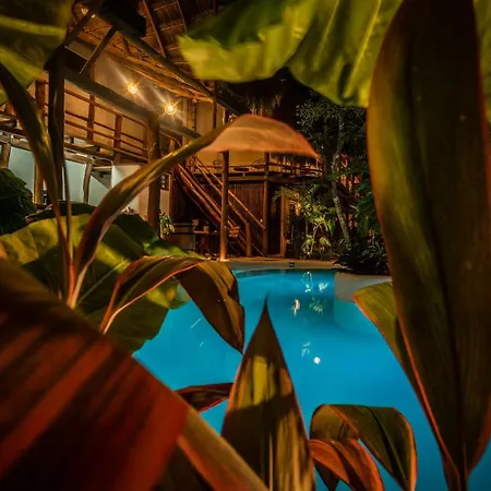Hotel Boutique Terranova 3*